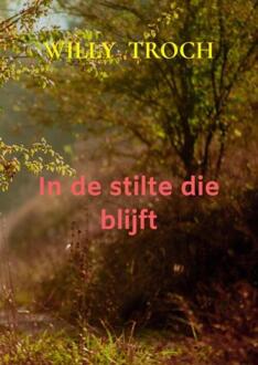 In de stilte die blijft -  Willy Troch (ISBN: 9789465381701)