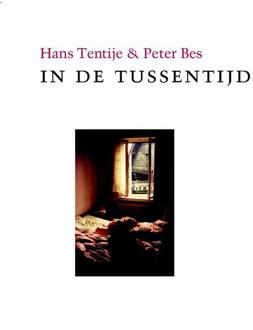 In de tussentijd - Boek Hans Tentije (9061698782)