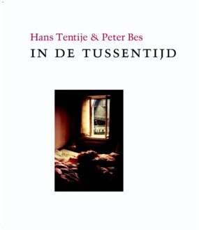 In de tussentijd - Boek Hans Tentije (9061698782)
