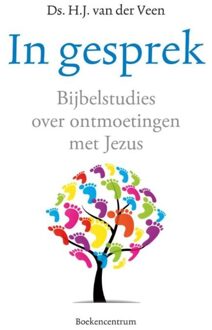 In gesprek - eBook H.J. van der Veen (9023979354)