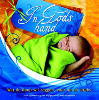 In Gods hand - Boek Arine Spierenburg-van Wijngaarden (9023923944)