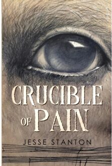 In Het Hart Van De Spiritualiteit - Anselm Grün En Ahmad Milad Kari