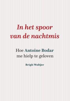 In het spoor van de Nachtmis - (ISBN:9789493161610)