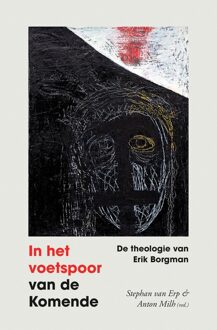 In het voetspoor van de komende - Stephan van Erp, Anton Milh - ebook