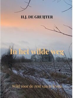 In Het Wilde Weg - H.J. de Gruijter