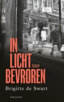 In licht bevroren - Brigitte de Swart - ebook