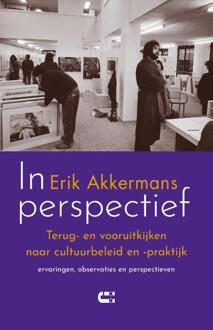 In perspectief -  Erik Akkermans (ISBN: 9789086843244)