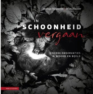 In Schoonheid Vergaan - Wim Huijser