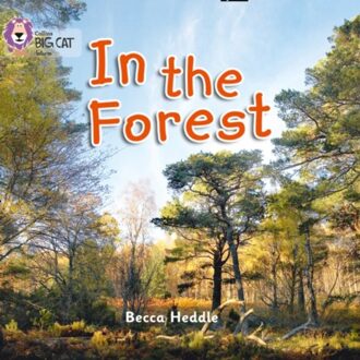 In The Forest - Collins Big Cat - Becca Heddle