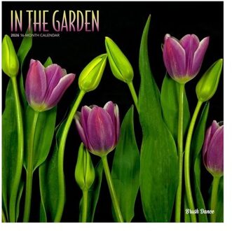 In The Garden 2026 12 X 24 Inch (Hanging) Monthly Square Wall Calendar Plastic-Free - Brush Dance