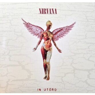 In Utero - 20Th Anniversary (Ltd.Su