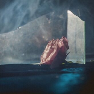 In Virus Times - Lee Ranaldo