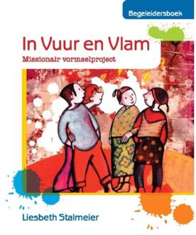 In Vuur en Vlam - Boek L. Stalmeier (9061731283)