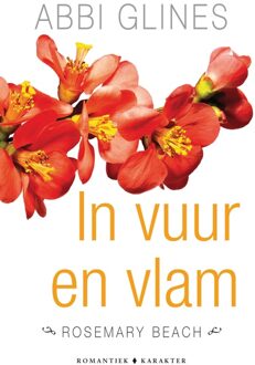 In vuur en vlam - eBook Abbi Glines (9045212218)