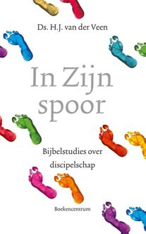 In zijn spoor - eBook H.J. van der Veen (9023979044)