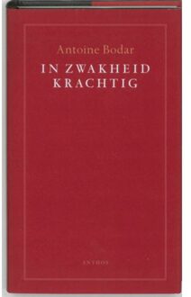 In zwakheid krachtig - Boek Antoine Bodar (9041408142)