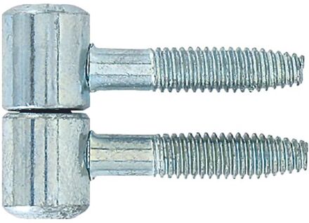 Inboorpaumel - Verzinkt Staal - Ø 16 Mm - 2 Stuks