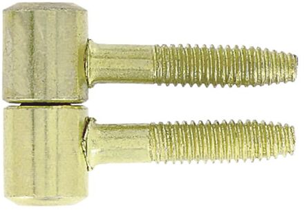 Inboorpaumelle - Vernikkeld Staal - Ø 13 Mm - 2 Stuks
