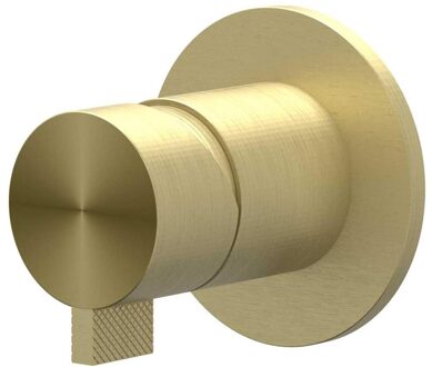 Inbouw Douchemengkraan IVY Tribe Eenhendel Inclusief Inbouwdeel RVS316 Geborsteld Mat Goud PVD Geborsteld RVS316 Mat Goud PVD