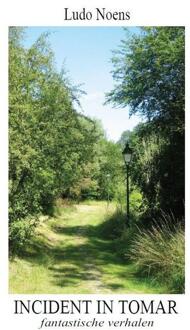 Incident in Tomar - Boek Ludo Noens (9081372335)
