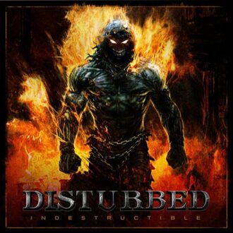 Indestructible (LP)