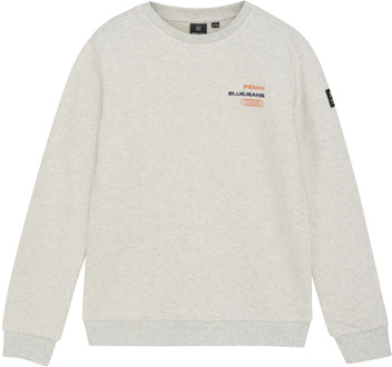 Indian blue Jeans jongens sweater Licht grijs - 140