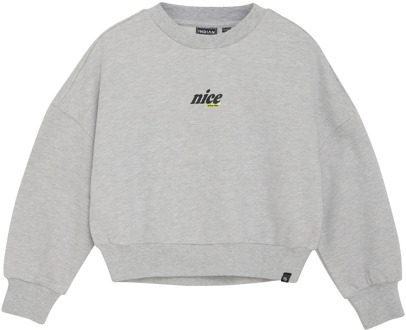 Indian blue Jeans meisjes sweater Grijs - 140