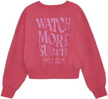 Indian blue Jeans meisjes sweater Rose - 176