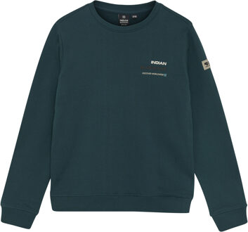 Indian blue Jeans Winter sweater jongens - groen - loose fit/backprint - maat 140