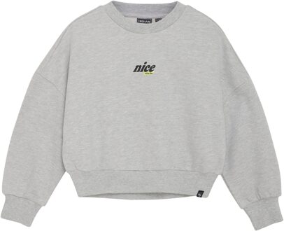 Indian blue Jeans Winter sweater meisjes - grijs - glitterprint - maat 140