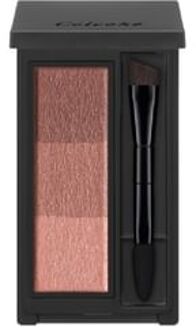 Indicate Eyebrow Powder 11 Rosy Brown