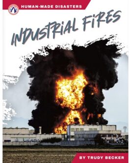 Industrial Fires - Human-Made Disasters - Becker, Trudy