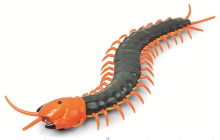 Infrarood Afstandsbediening Dier Cobra Insect Kakkerlak Rups Kat Hond Huisdier Speelgoed Prank En Interessante Cadeau Voor Kinderen centipede 2