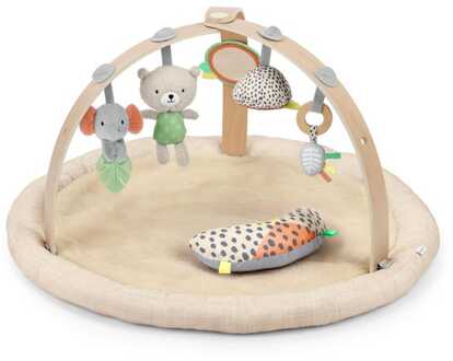 Ingenuity Every Season activity gym