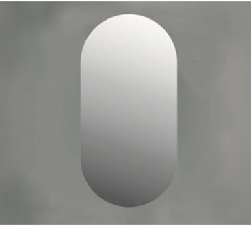 Ink SP26 Spiegel - 40x3x80cm - ovaal - zonder kader - aluminium Spiegel 8409260 Spiegel (Zilver)