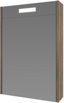 Ink Spiegelkast Proline Premium Met Houten Deur Geïntrigeerd LED Verlichting 50x14x60 cm Scotch Oak