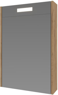 Ink Spiegelkast Proline Premium Met Houten Deur Geïntrigeerd LED Verlichting 50x14x60 cm Whisky Oak
