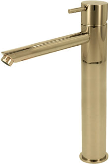 Ink Wastafelmengkraan Hotbath Cobber 1-hendel Recht 28.6 cm Gepolijst Messing PVD