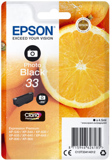 Inktcartridge Epson 33 T3341 foto zwart