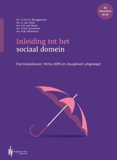 Inleiding tot het sociaal domein -  Frank Schulmer (ISBN: 9789493376083)