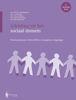 Inleiding tot het sociaal domein -  Frank Schulmer (ISBN: 9789493376168)