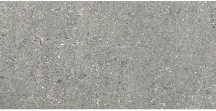 Inloopdouche BWS Portos Geborsteld Brons 70x200 cm Helder Glas 8 mm Nano Coating