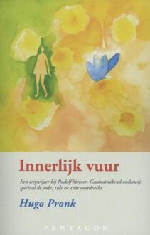 Innerlijk vuur - Boek Hugo Pronk (9490455733)