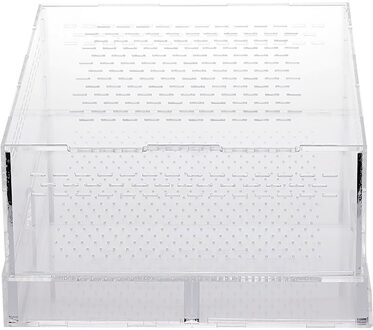 Insect Fokken Doos Spiders Fokken Doos Reptiel Fokkerij Doos Acryl Klimmen Huisdier Producten Doorschijnend Acryl Voerbox 20 x 12 x 12CM