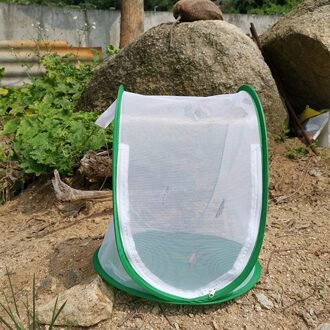 Insect Kooi Vlinder Sprinkhaan Huisdier Product Behuizing Observatie Netto Draagbare Inklapbare Zomer Behuizing Fokken Doos