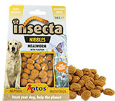 Insecta Nibbles Mealworm (meelworm & pompoen)