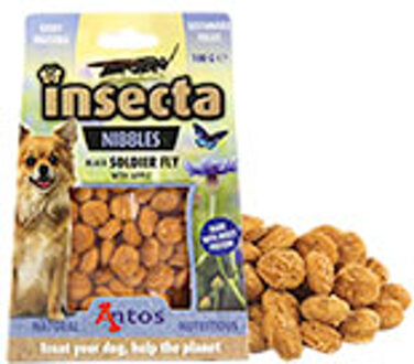 Insecta Nibbles Soldier Fly (zwarte soldaatvlieg & appel)