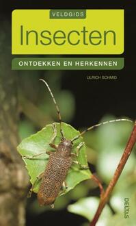 Insecten - Boek Ulrich Schmid (9044732048)