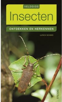 Insecten - Boek Ulrich Schmid (9044732048)