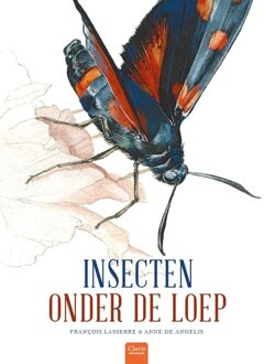 Insecten onder de loep - Boek Francois Lasserre (9044832069)